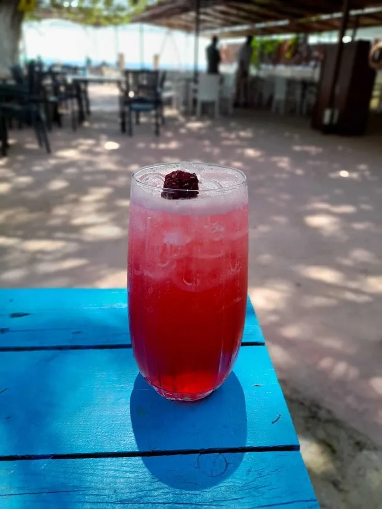 Barbekü/piknik alanı