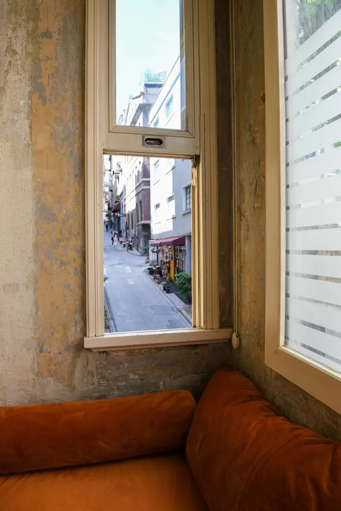 Traditional Tek Büyük Yataklı Oda, Sigara İçilmez