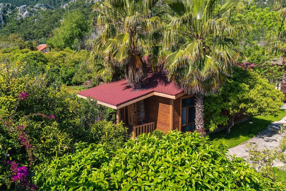 Deluxe Villa