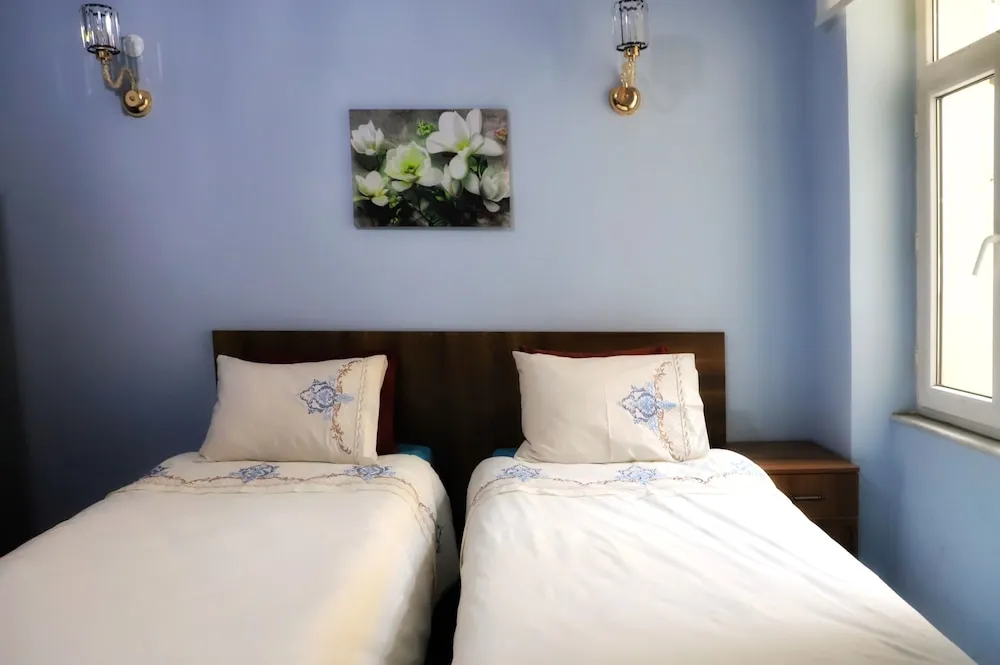 Deluxe Tek Büyük veya İki Ayrı Yataklı Oda