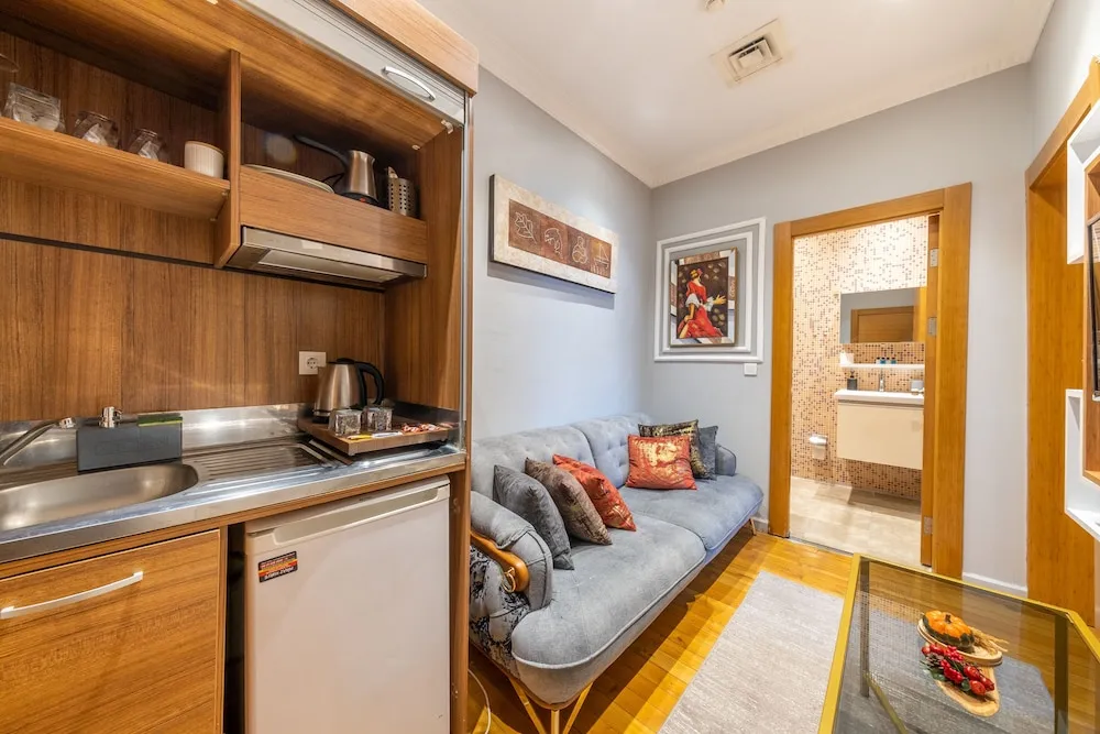 Comfort Apart Daire, 1 Yatak Odası, Sigara İçilebilir