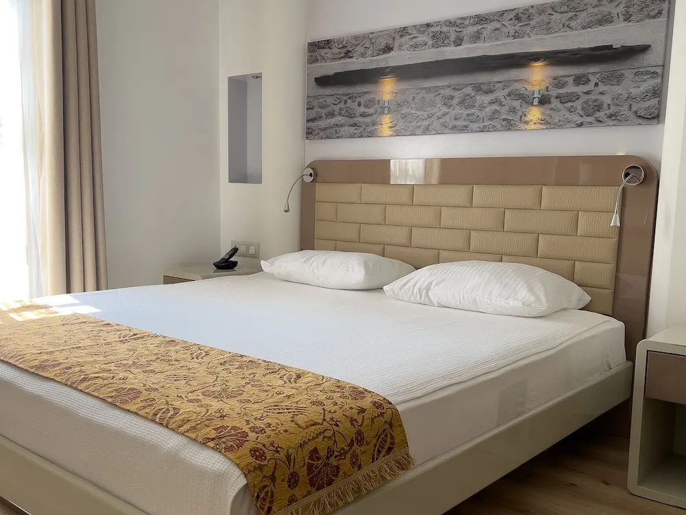 Standard Tek Kişilik Oda, 1 Çift Kişilik Yatak (Single Use)