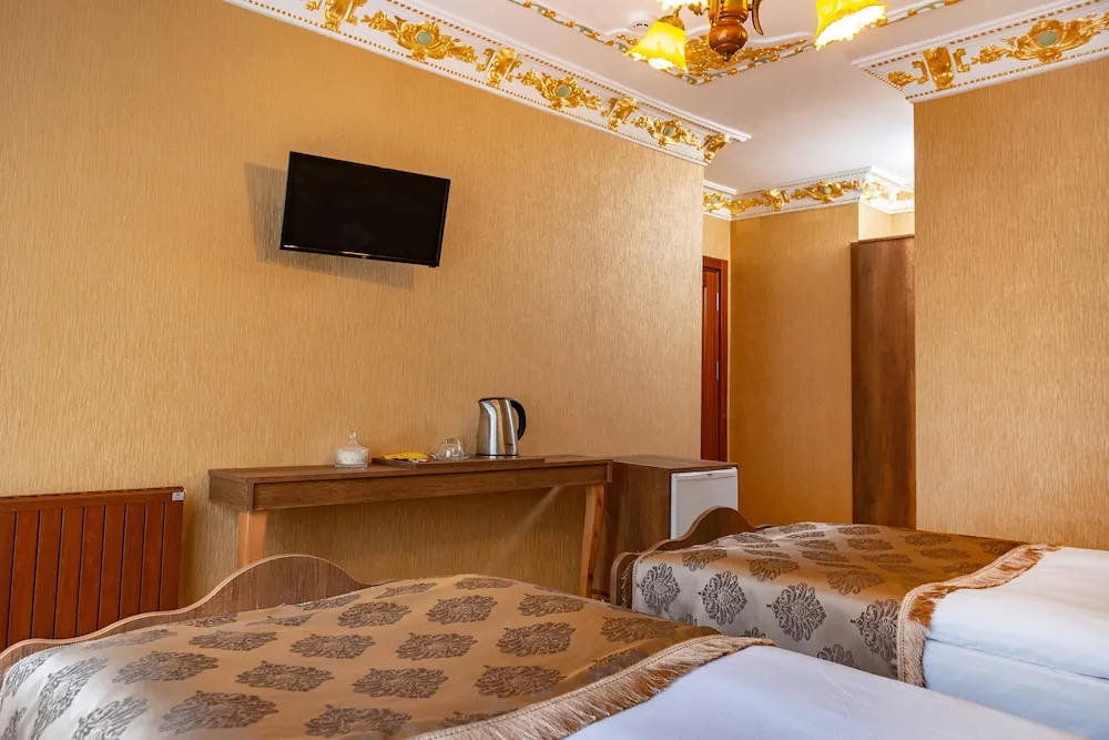 Deluxe İki Ayrı Yataklı Oda, Şehir Manzaralı