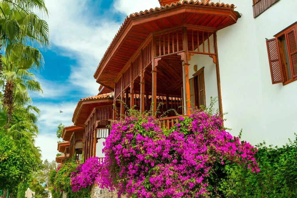 Standard Club Bungalow