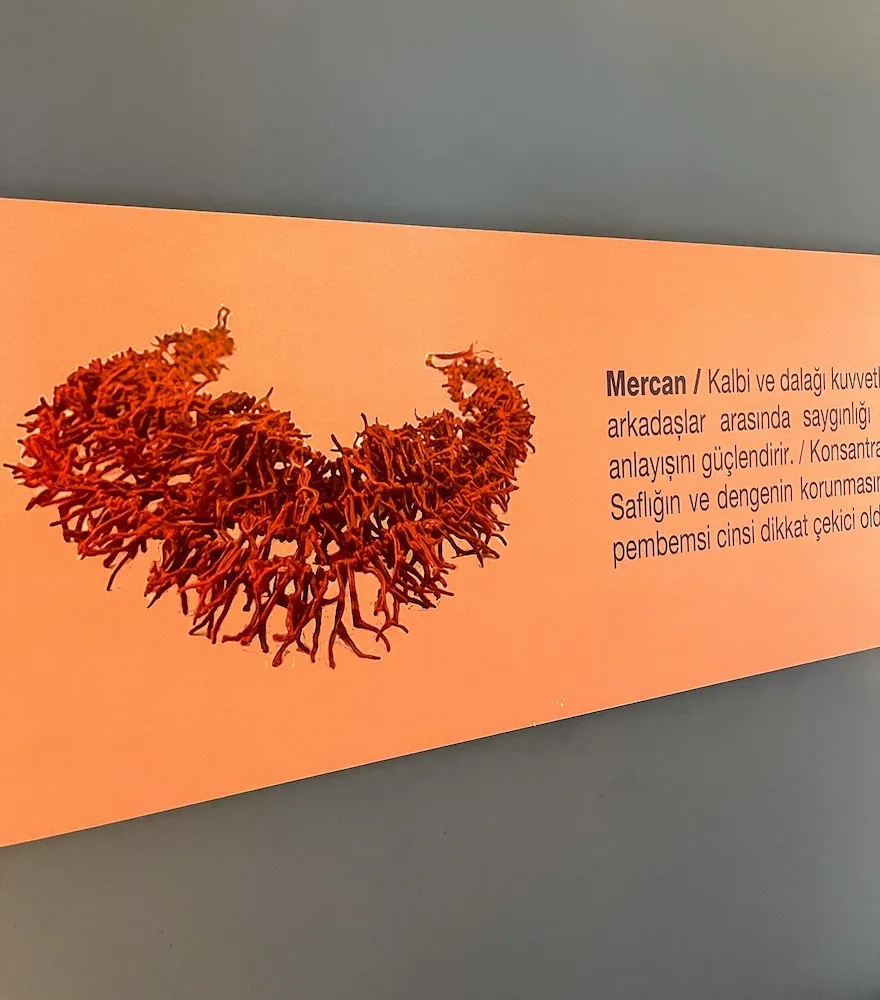 Superior Tek Büyük Yataklı Oda, Kısmi Deniz Manzaralı