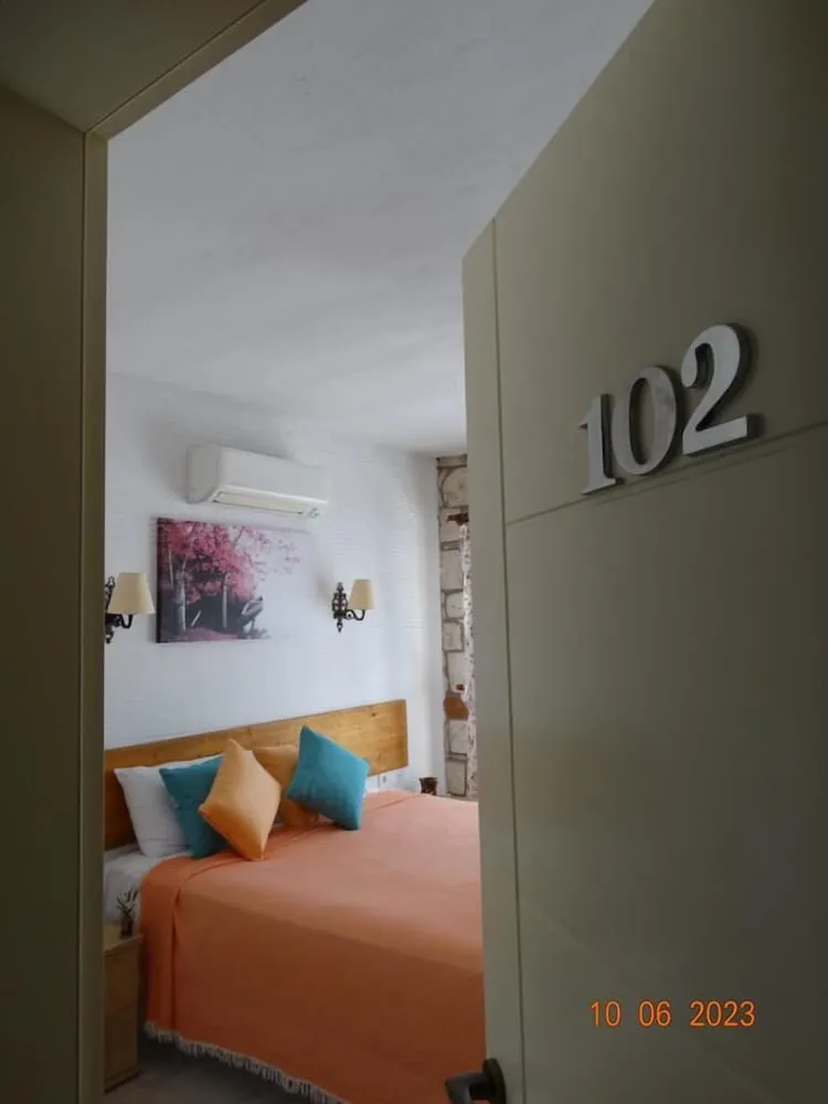 Deluxe Tek Büyük veya İki Ayrı Yataklı Oda