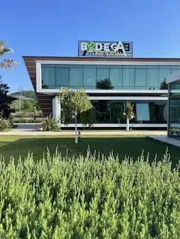 Bodega Otel
