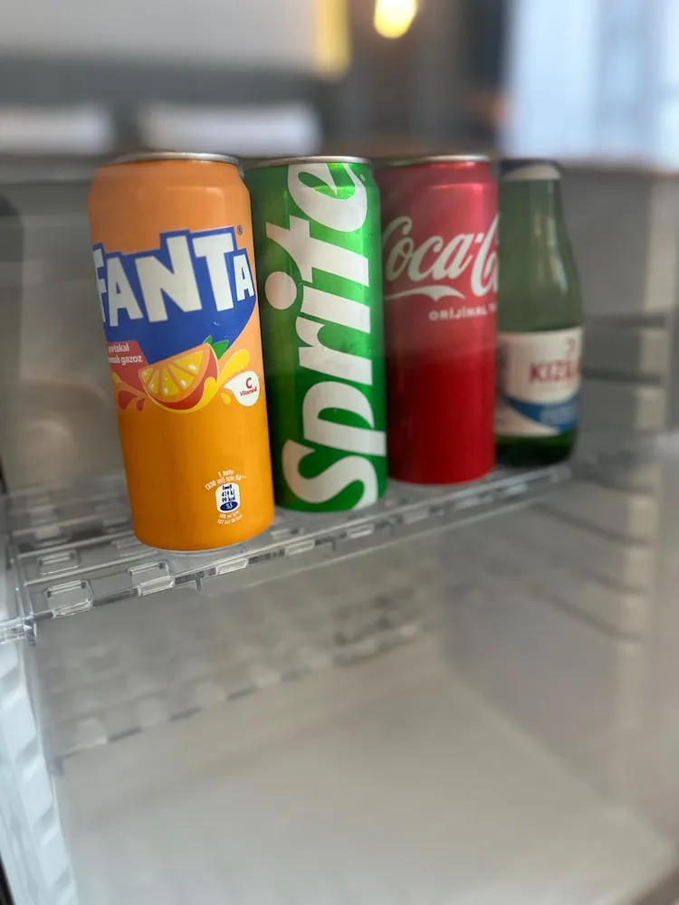 Superior Tek Büyük Yataklı Oda