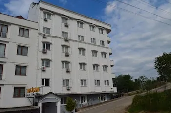 Alissa Suite