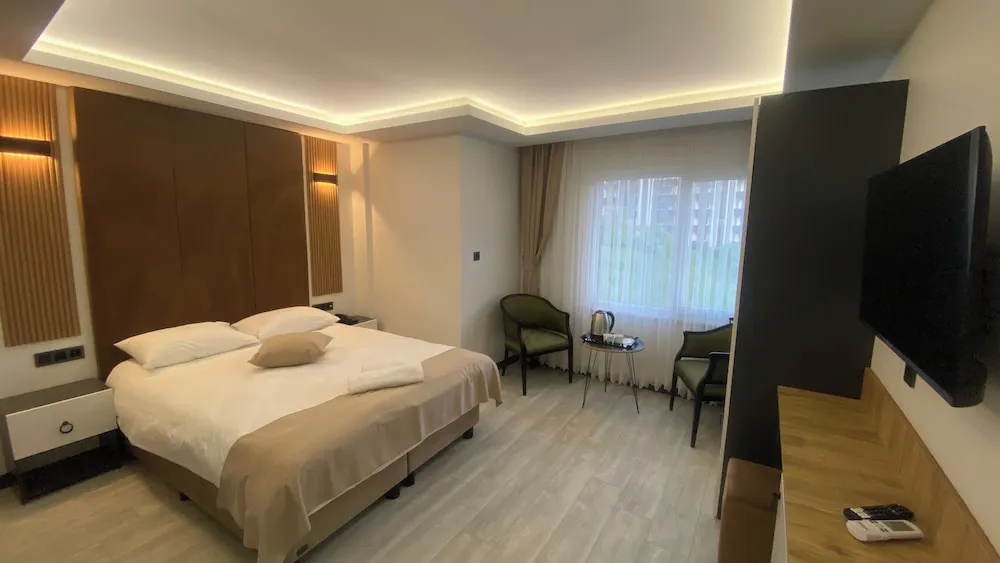 Standard Tek Büyük Yataklı Oda, Şehir Manzaralı