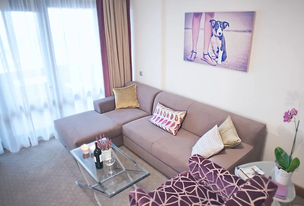 Executive Apart Daire, 2 Yatak Odası, Bağlantılı Odalar