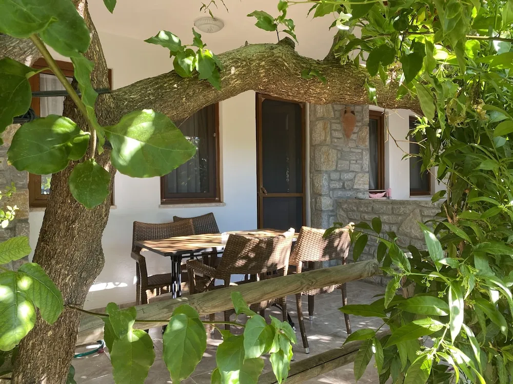 Basic Apart Daire, 1 Çift Kişilik Yatak ve Çekyat, Bahçe Manzaralı