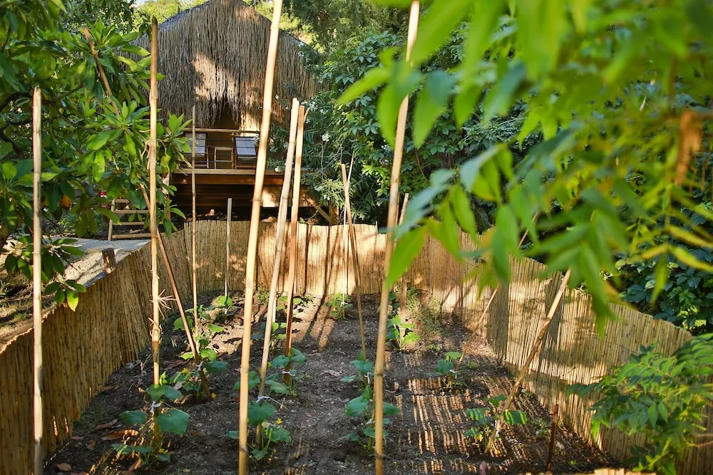 Garden Suit