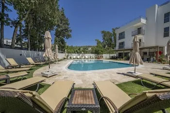 Olive Tree Hotel