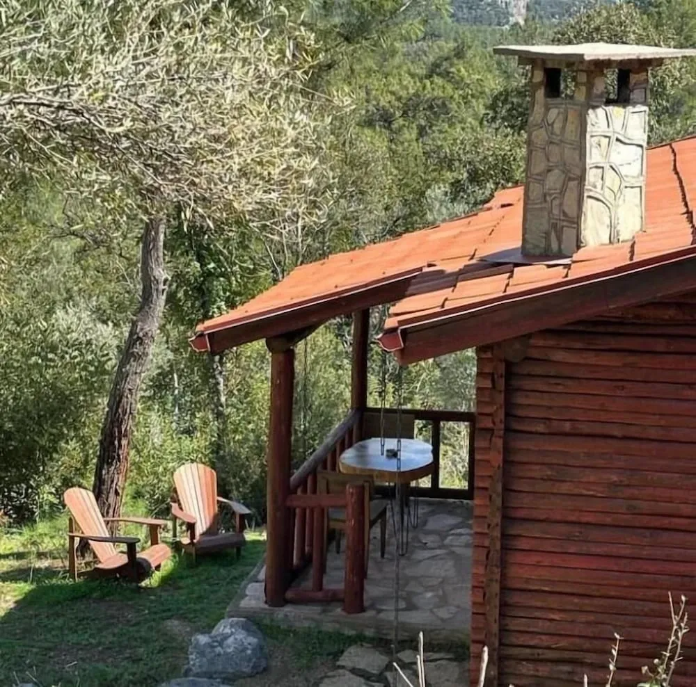 Standard Dağ Evi
