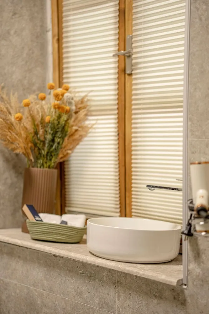 Deluxe Oda, Balkon, Şehir Manzaralı