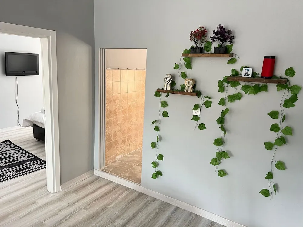 Deluxe Oda, Şehir Manzaralı