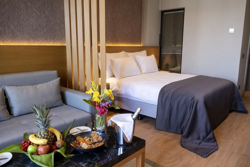 Premium Tek Büyük Yataklı Oda