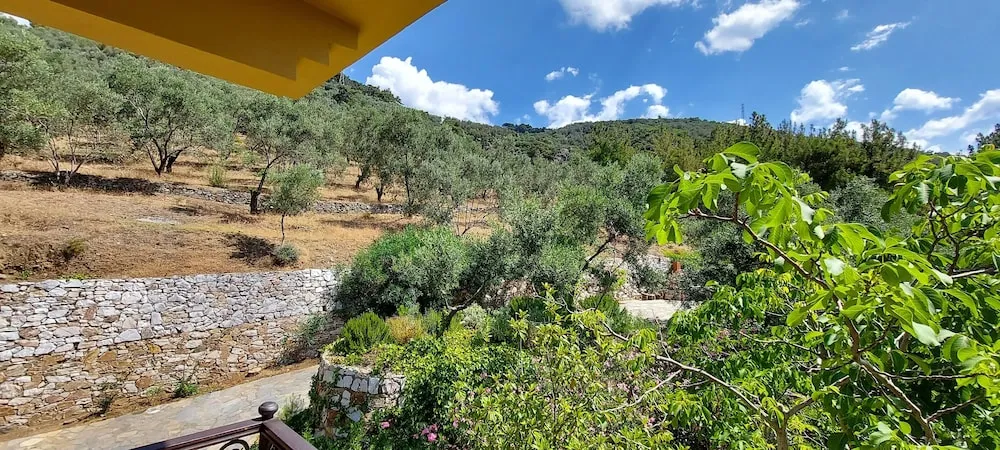 Panoramic Tek Büyük Yataklı Oda
