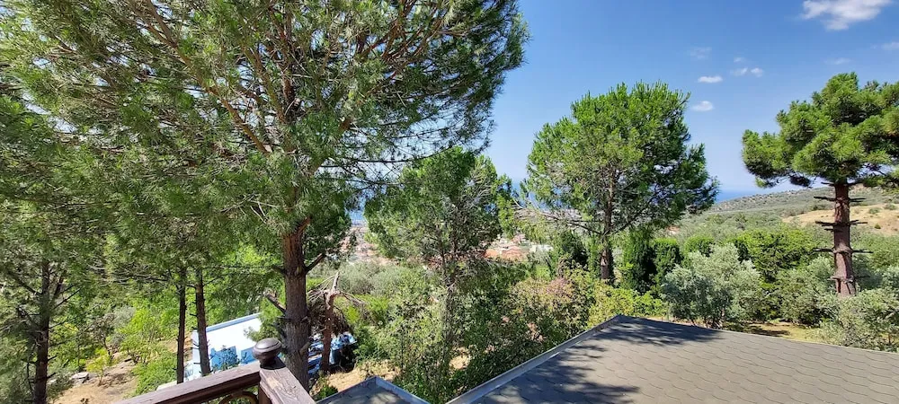 Panoramic Tek Büyük Yataklı Oda