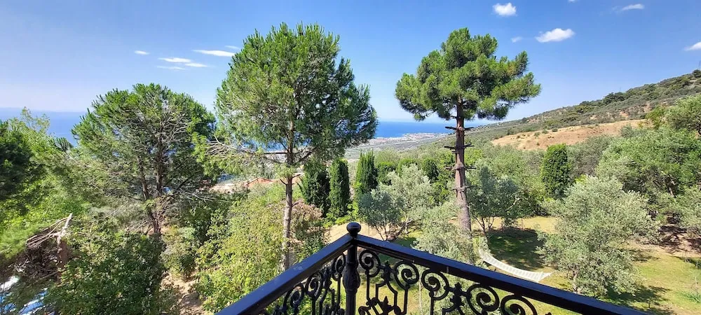 Panoramic Tek Büyük Yataklı Oda