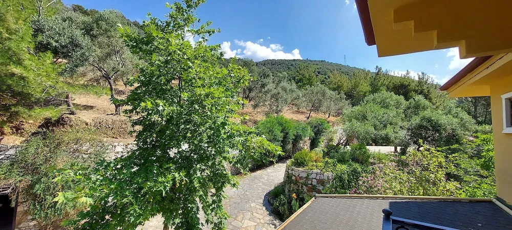 Panoramic Tek Büyük Yataklı Oda