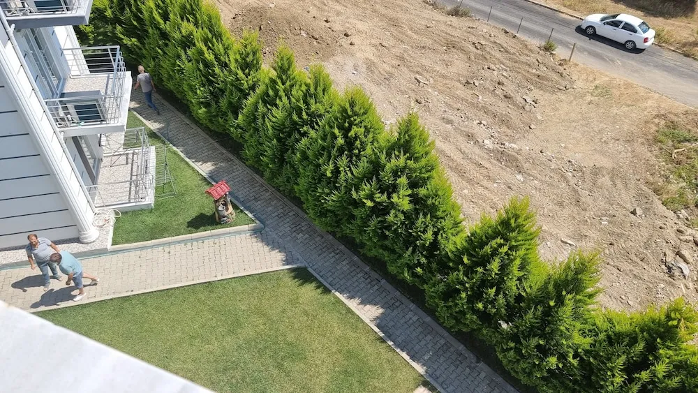 Standard Çatı Katı (Loft), Teras, Şehir Manzaralı