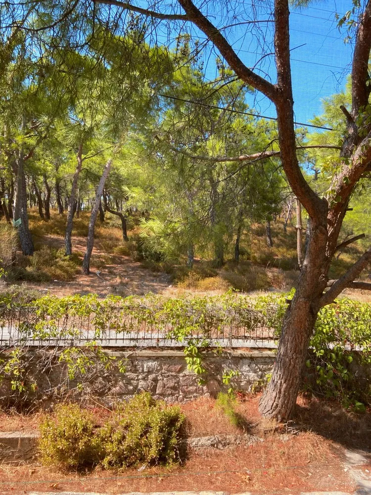 Comfort Tek Büyük veya İki Ayrı Yataklı Oda, 2 Yatak Odası