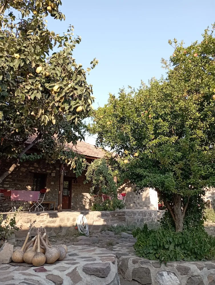 Comfort Üç Kişilik Oda