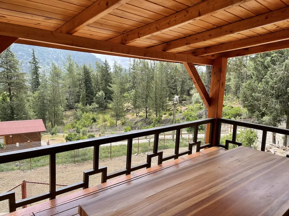 Forest Bungalow in Mountain (1A)