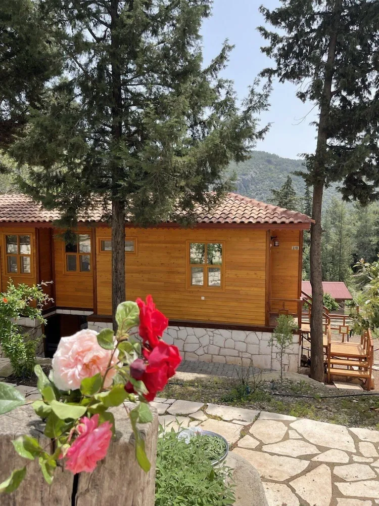 Forest Bungalow in Mountain (2A)