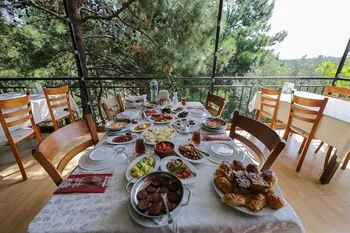 Düşler Vadisi Çamlıbel