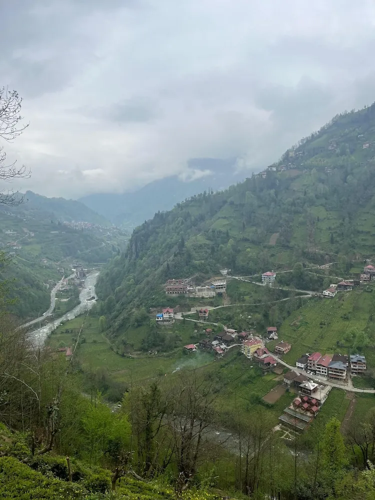 Classic Oda, Dağ Manzaralı