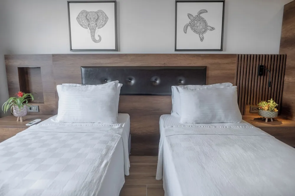 Luxury Süit
