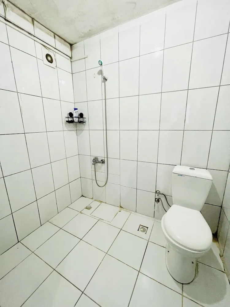 Comfort Stüdyo, Şehir Manzaralı