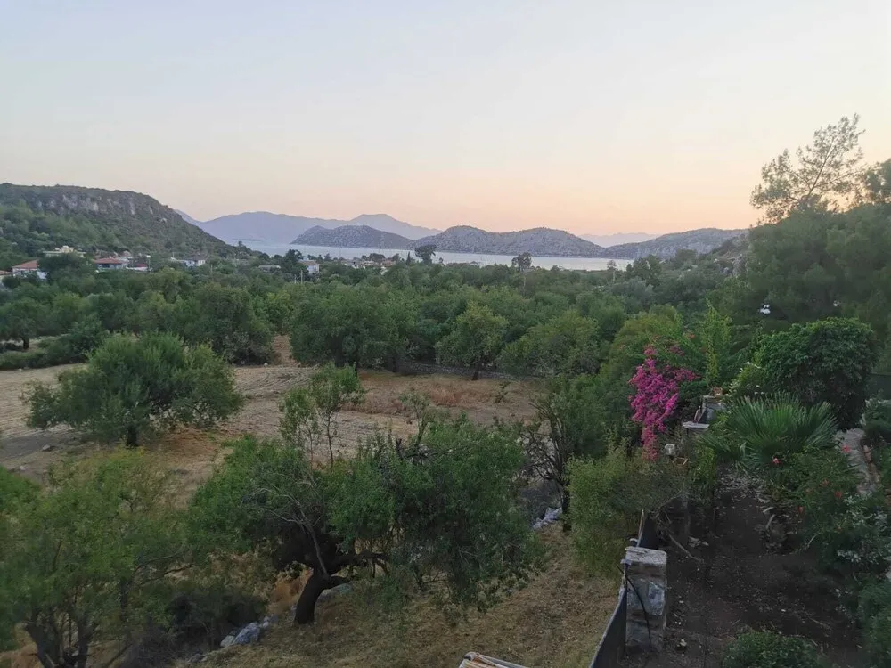 Stüdyo Süit