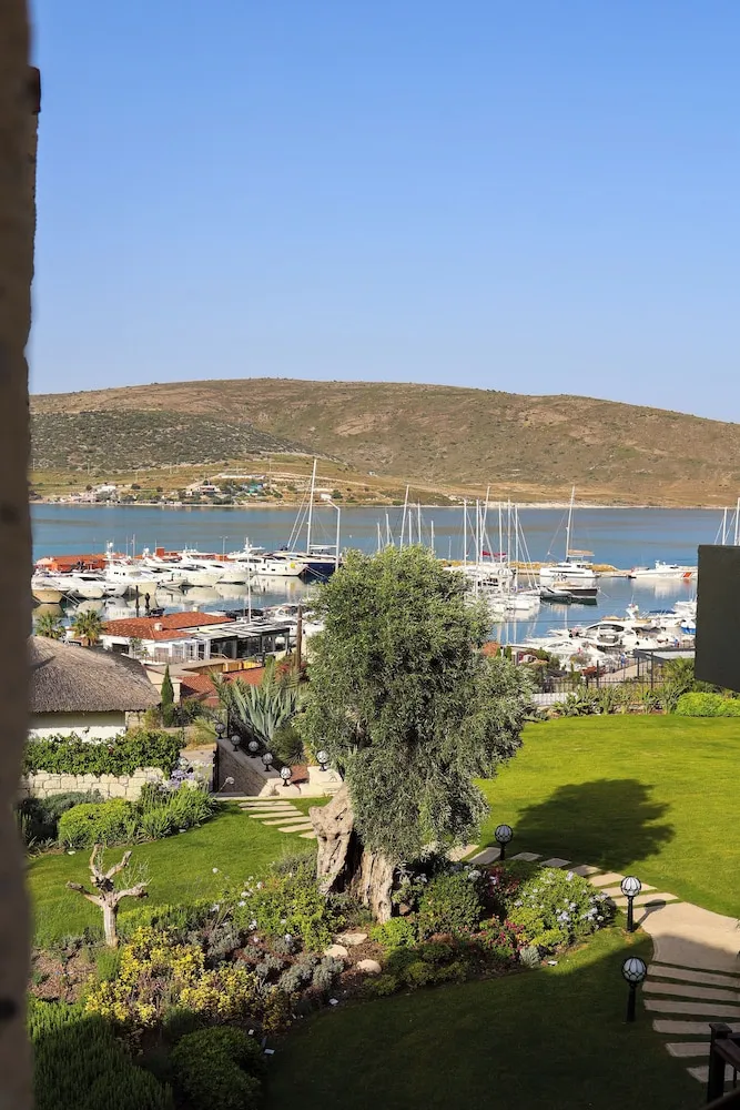 Traditional Oda, Deniz Manzaralı