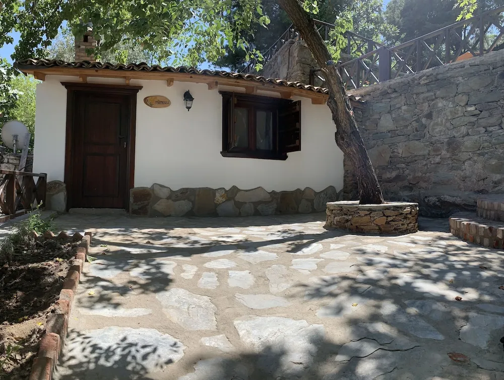 MIMOZA (ŞÖMİNELİ)