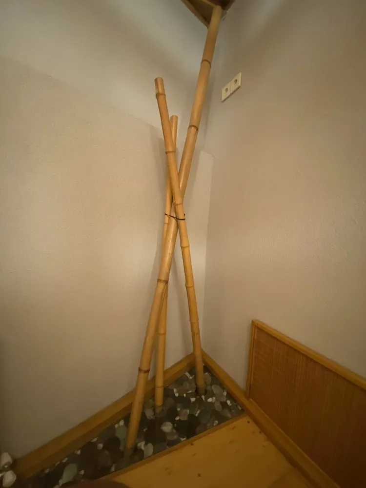 Traditional Stüdyo Süit