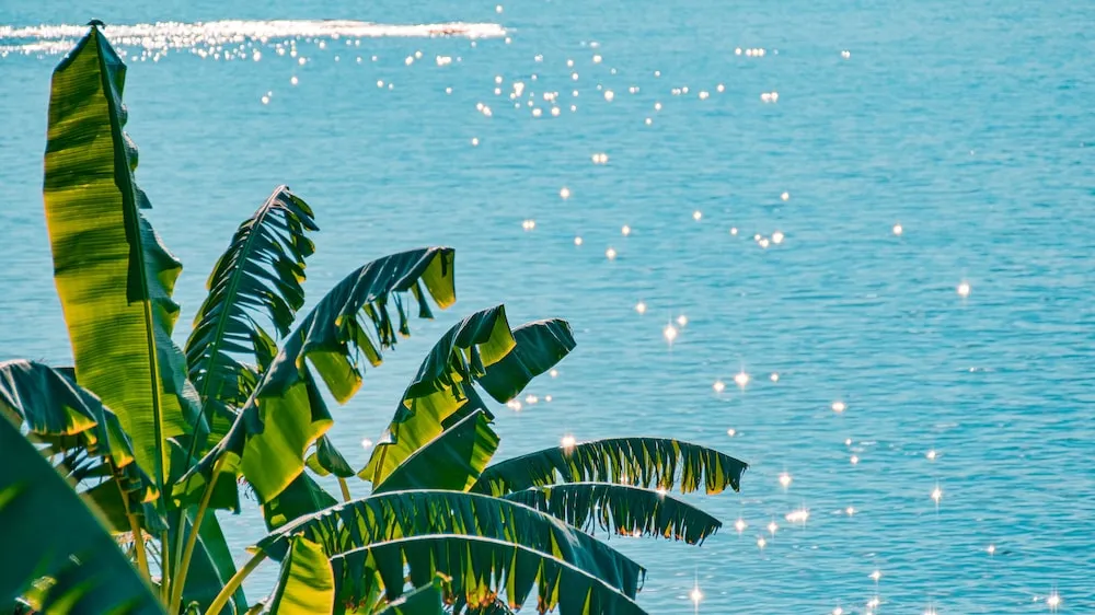 Honeymoon Tek Büyük Yataklı Oda