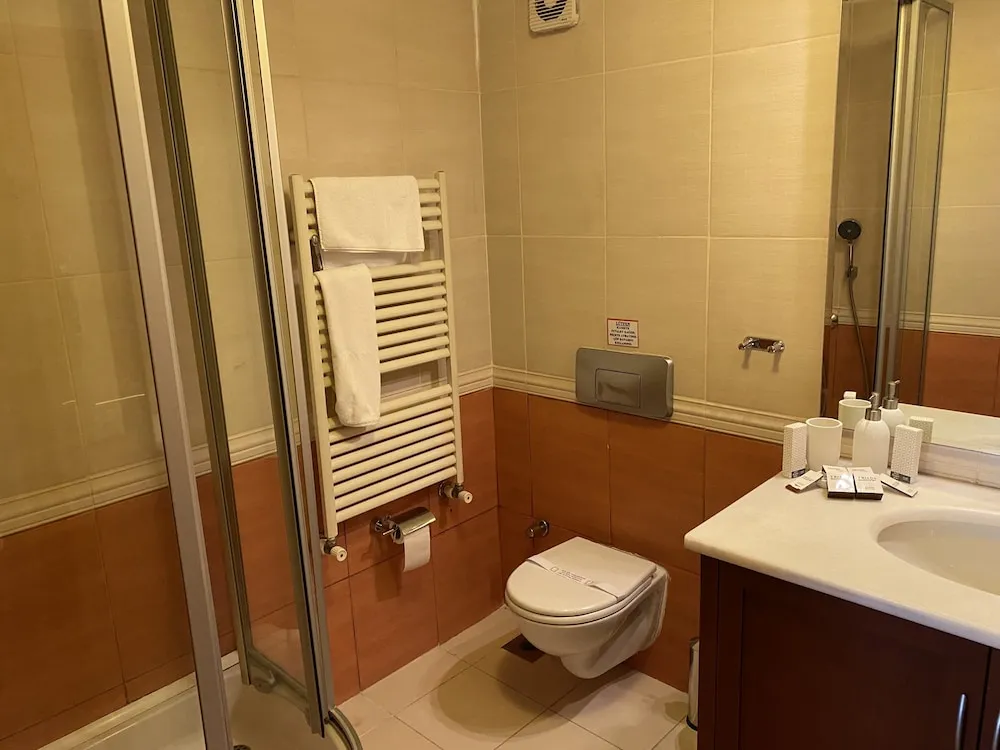 Comfort Oda, 1 Yatak Odası, Sigara İçilmez, Şehir Manzaralı