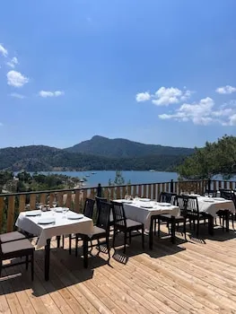Teras Orhaniye
