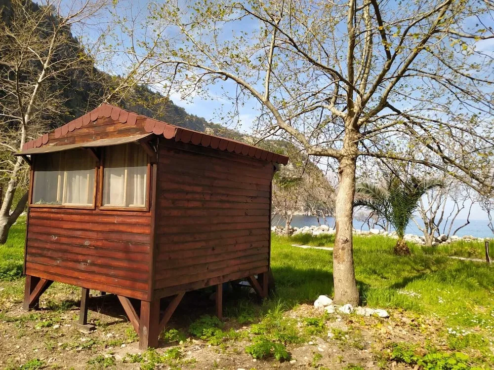 Standard Ağaç Ev