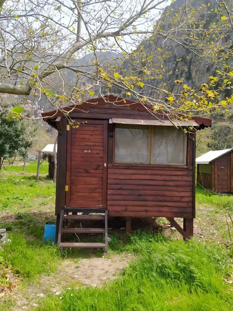 Standard Ağaç Ev