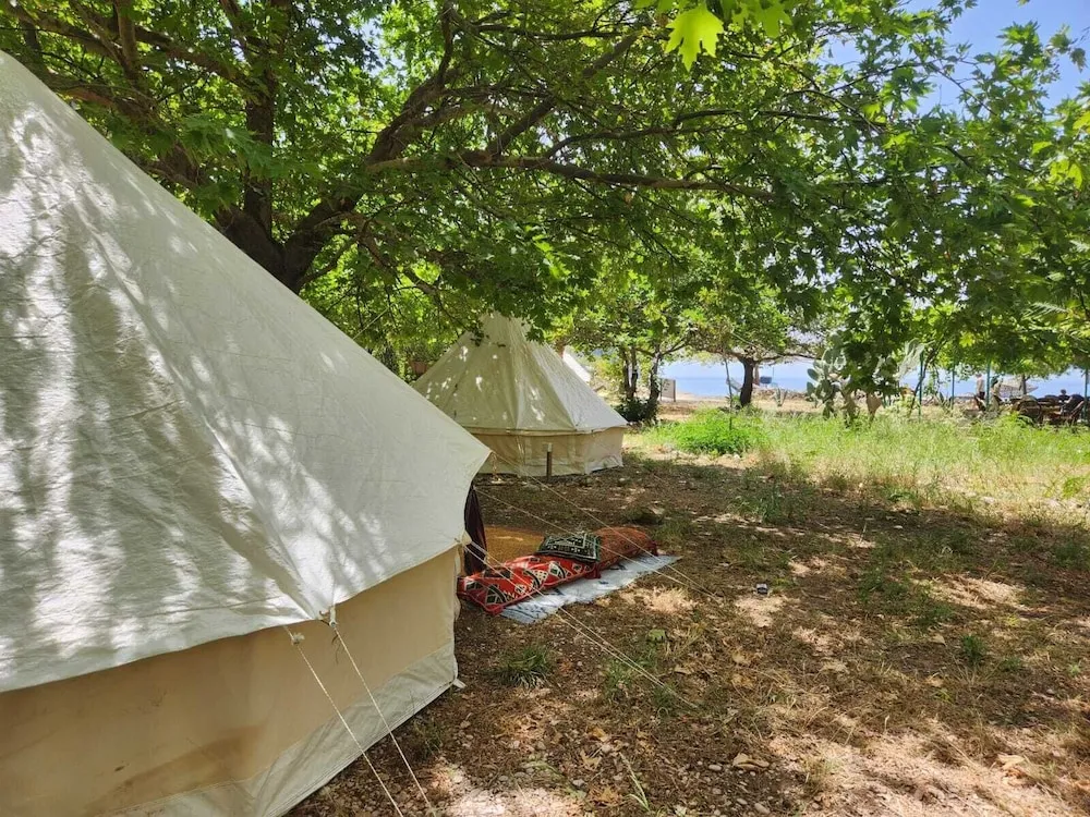 Design Çadır, Dağ Manzaralı, Bahçeli