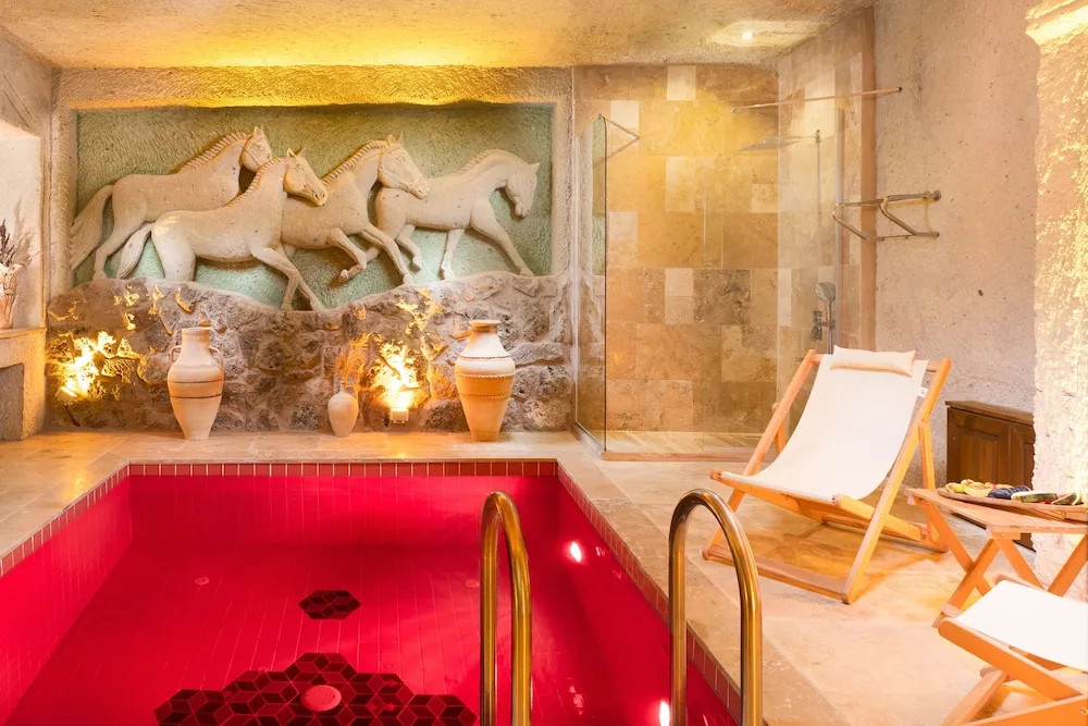 Luxury Tek Büyük Yataklı Oda