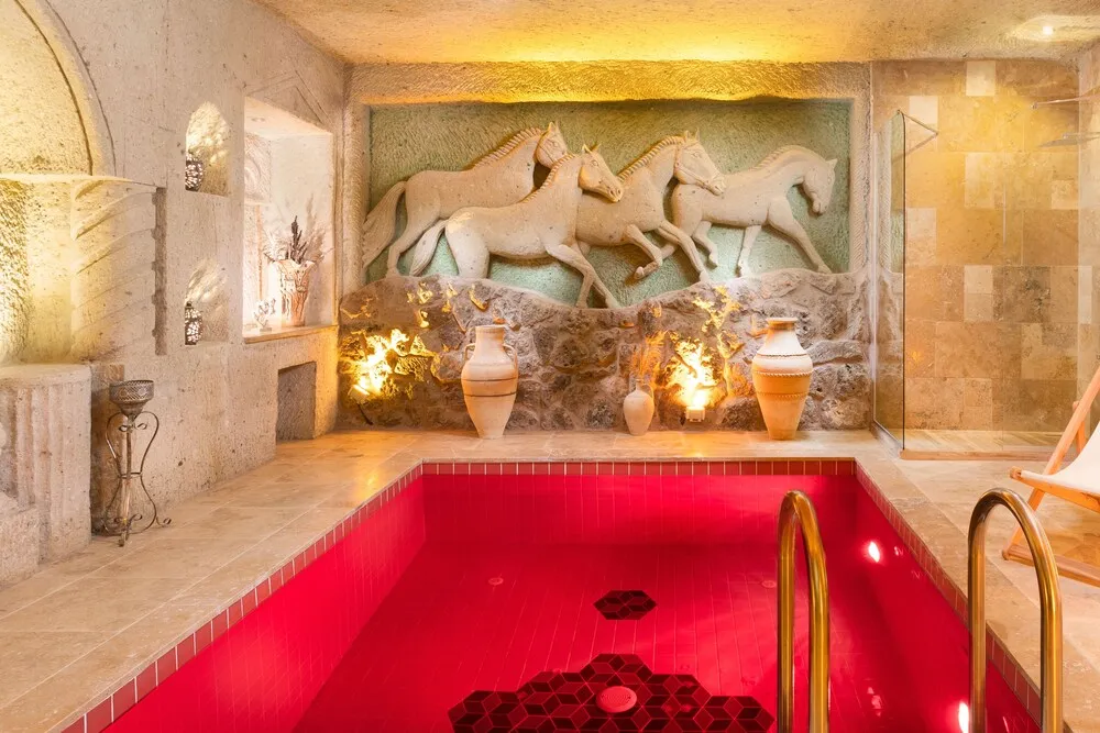 Luxury Tek Büyük Yataklı Oda