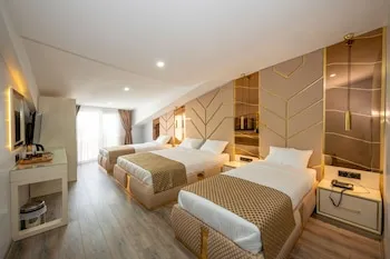 Luxury Airport Hotel