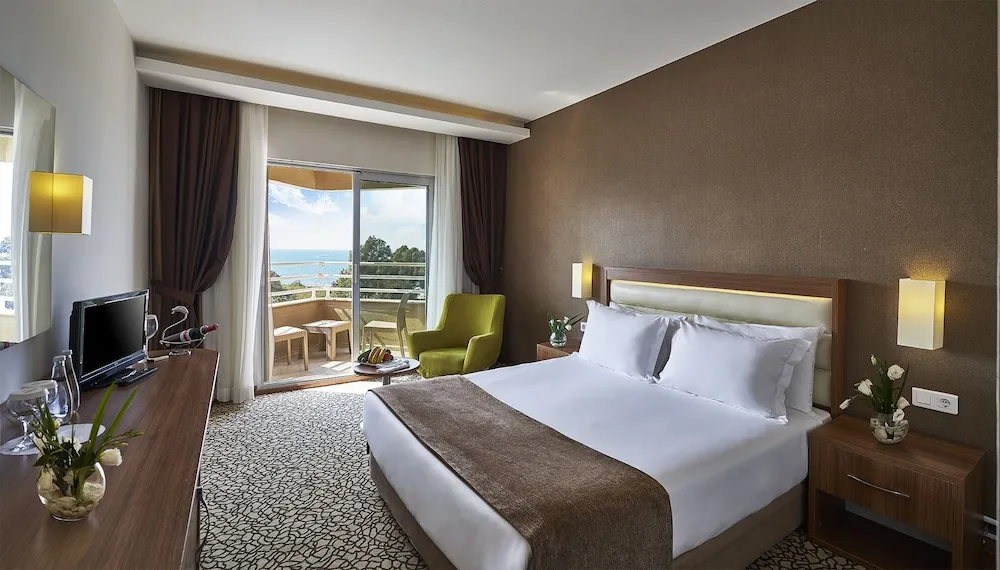 Superior Single Room