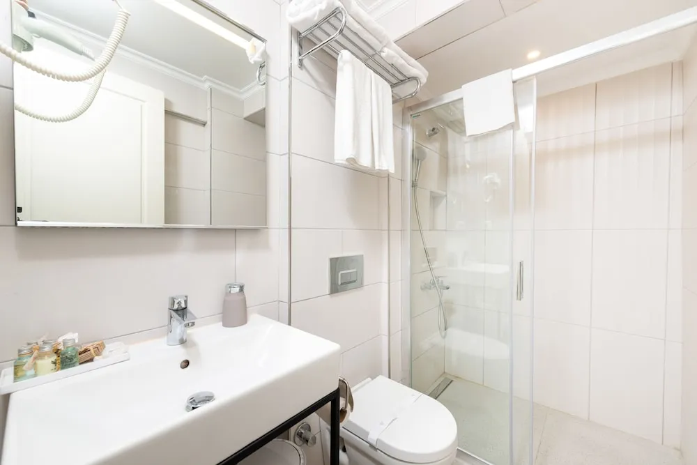 Deluxe Tek Büyük veya İki Ayrı Yataklı Oda (or twin)